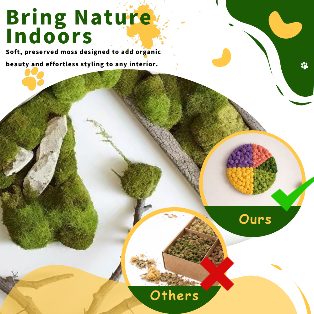 Preserved Reindeer Moss Bulk Box – Emerald Green