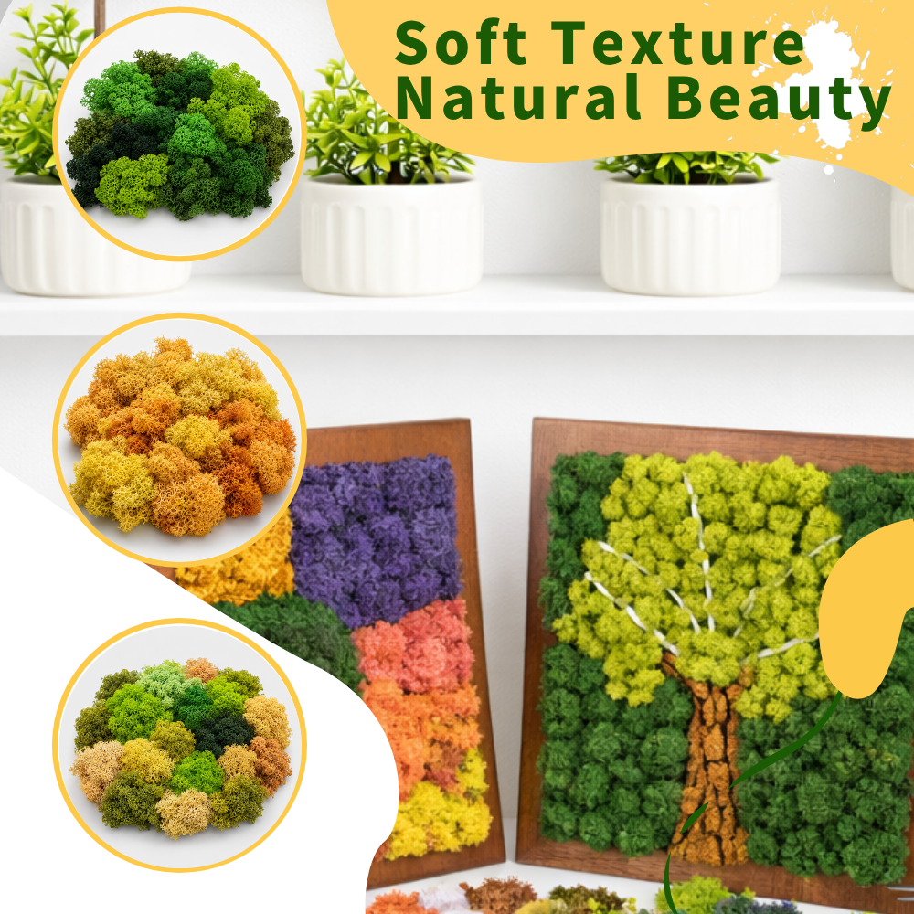 Preserved Reindeer Moss Bulk Box – Emerald Green