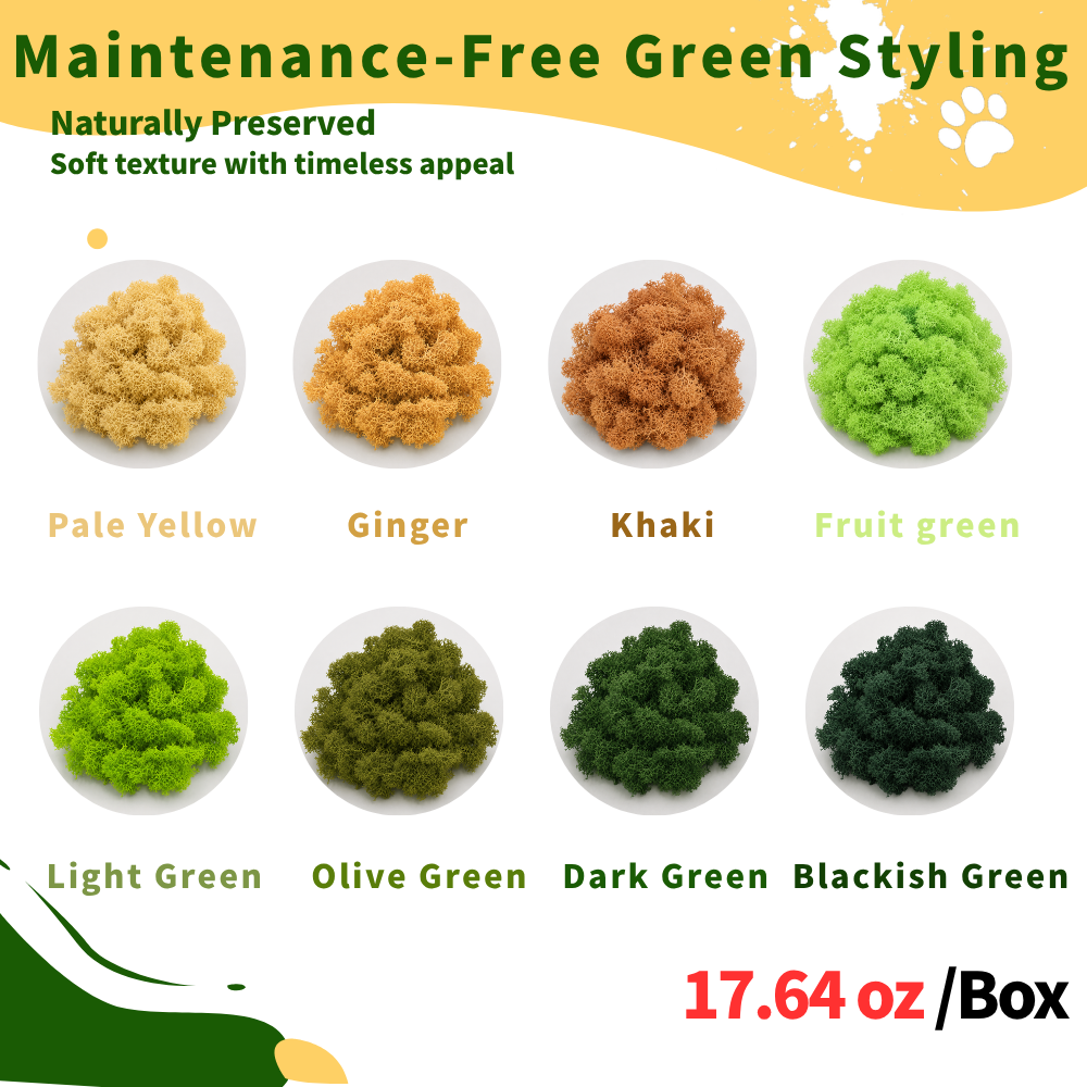 Preserved Reindeer Moss Bulk Box – Emerald Green