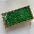 Preserved Reindeer Moss Bulk Box – Blackish Green