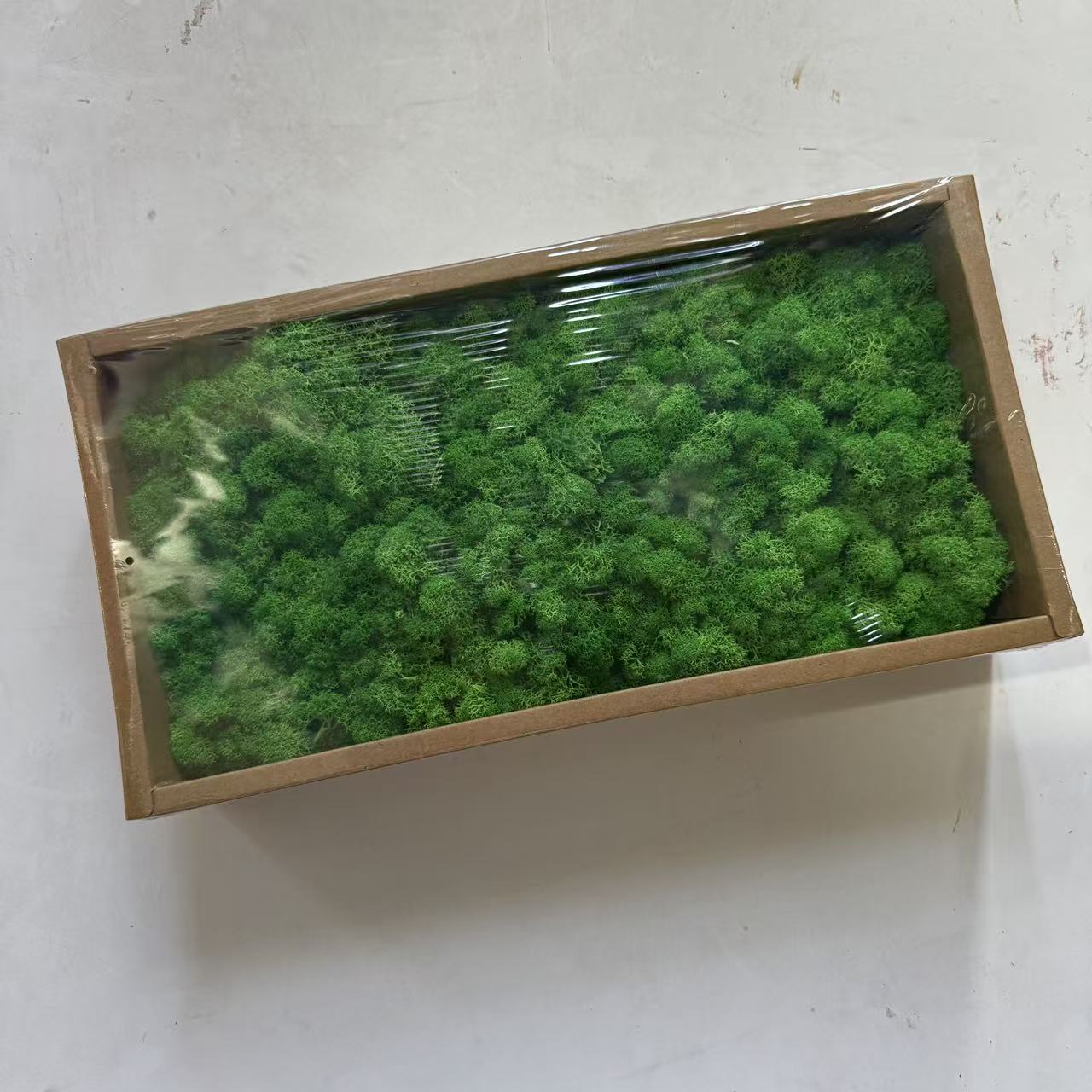 Preserved Reindeer Moss Bulk Box – Dark Green