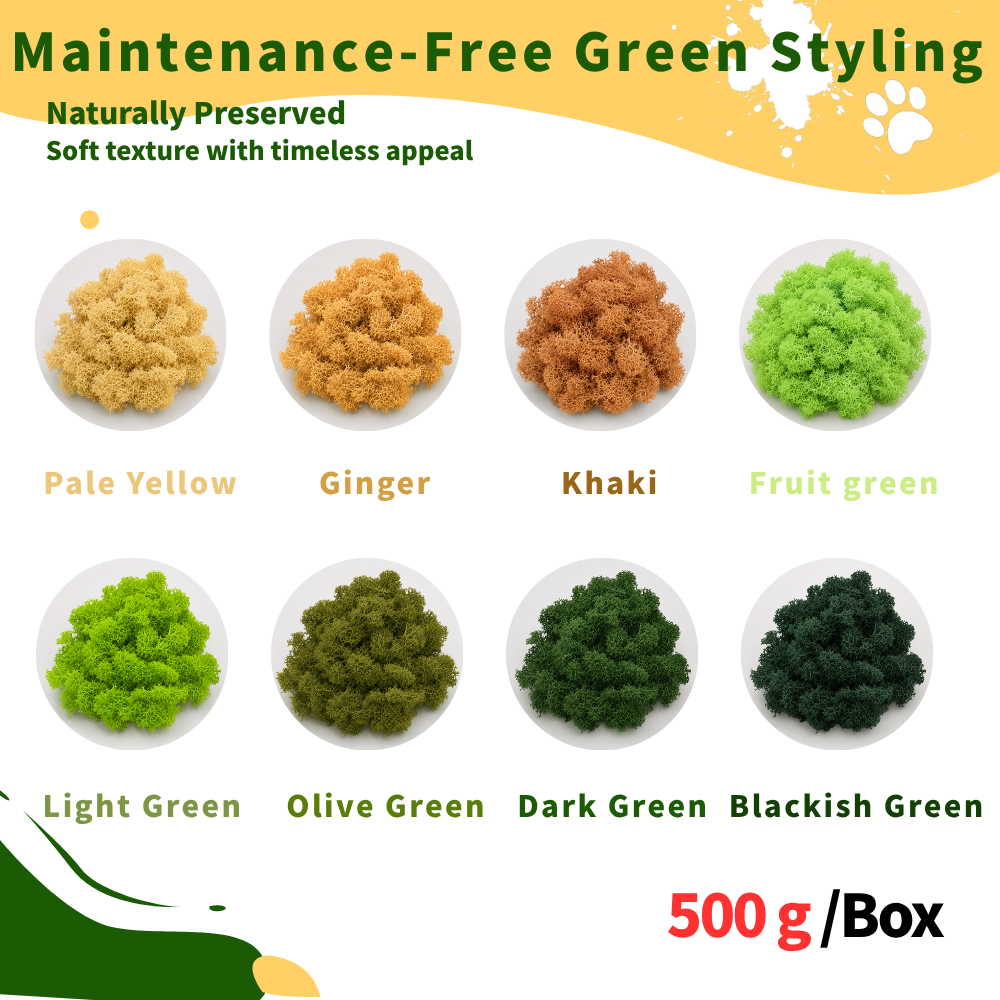 Preserved Reindeer Moss Bulk Box – Emerald Green