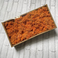 Preserved Reindeer Moss Bulk Box – Ginger