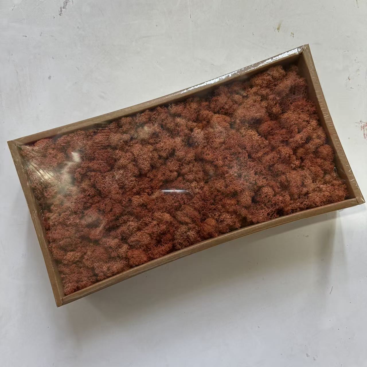 Preserved Reindeer Moss Bulk Box – Khaki