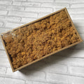 Preserved Reindeer Moss Bulk Box – Light Brown
