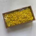 Preserved Reindeer Moss Bulk Box – Light Yellow