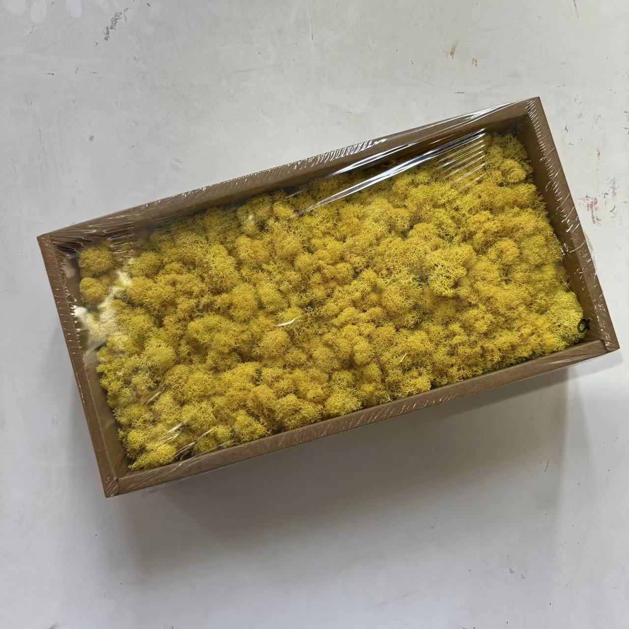 Preserved Reindeer Moss Bulk Box – Light Yellow