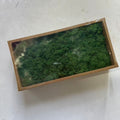 Preserved Reindeer Moss Bulk Box – Olive Green