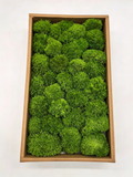 G2 preserved cushion moss box for interior decor