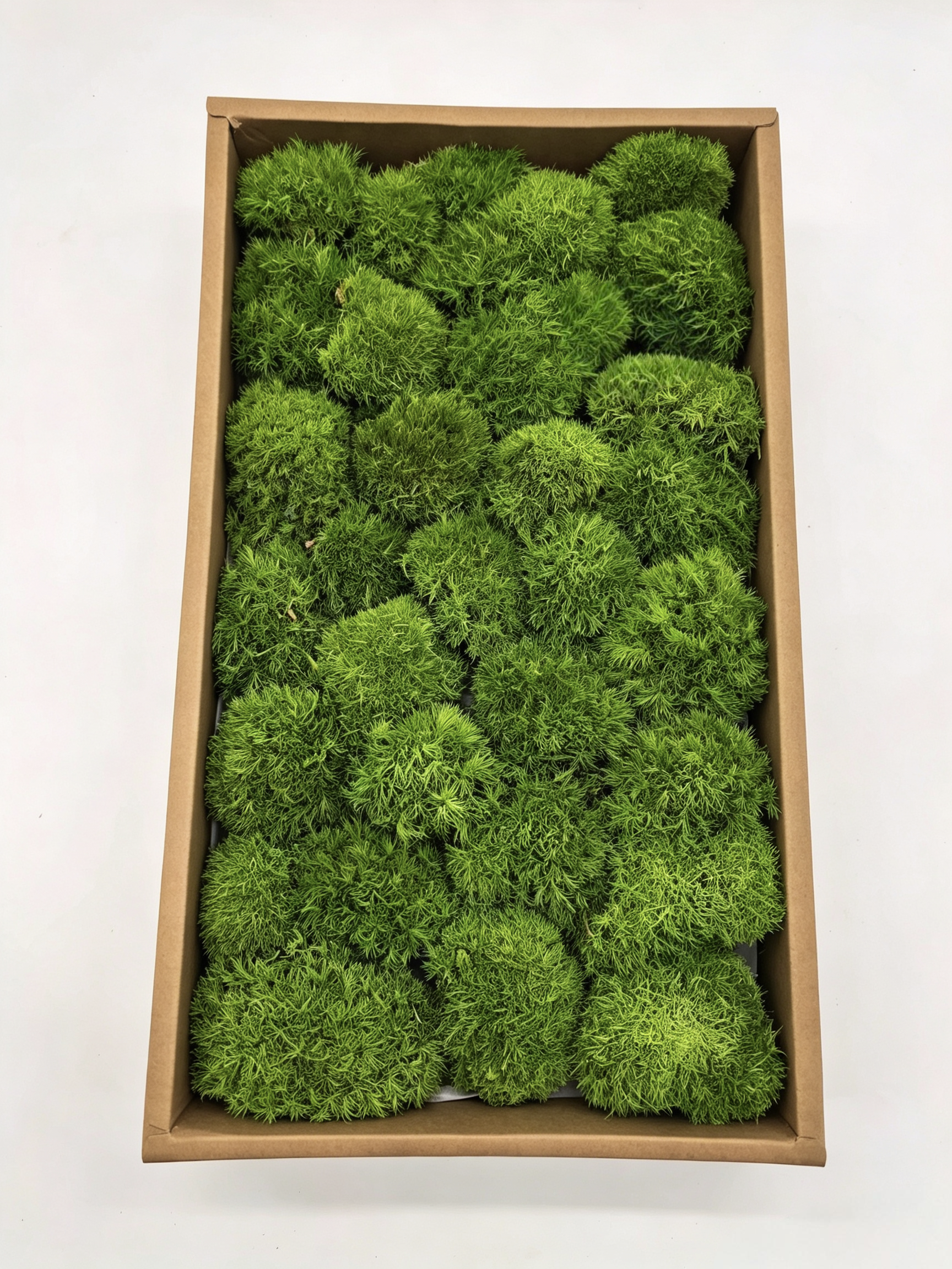 G2 preserved cushion moss box for interior decor