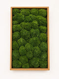 G3 preserved cushion moss for biophilic wall art