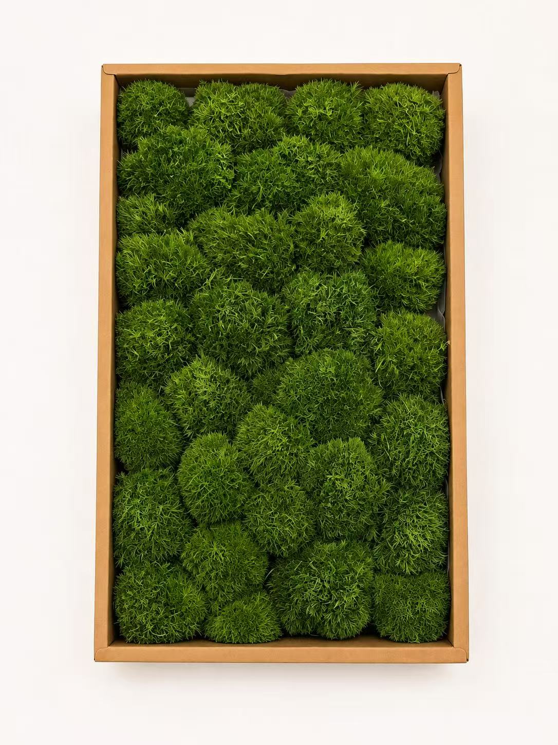 G3 preserved cushion moss for biophilic wall art