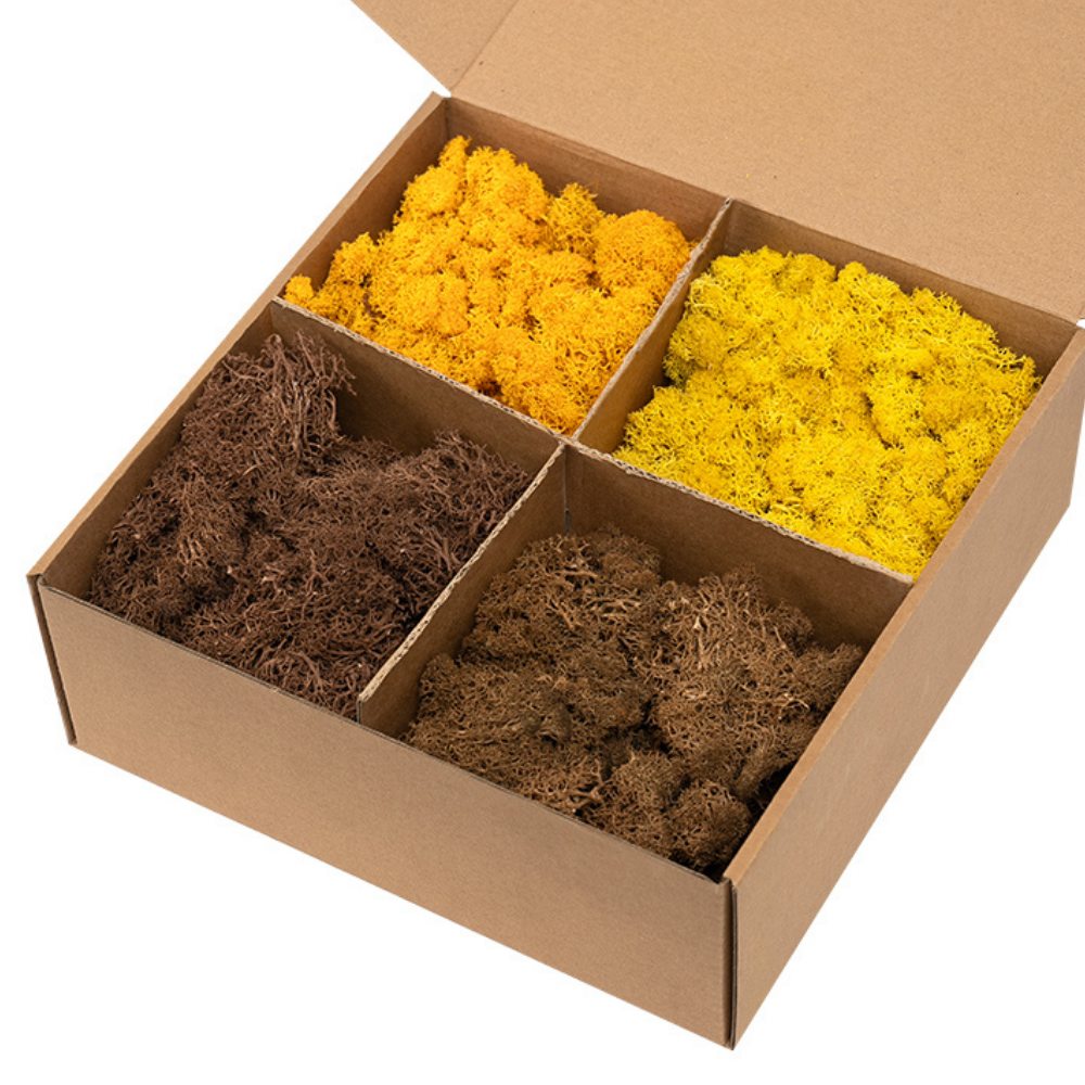 Autumn yellow orange and brown preserved reindeer moss mix box