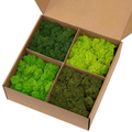 Natural green preserved reindeer moss mix box for indoor decor