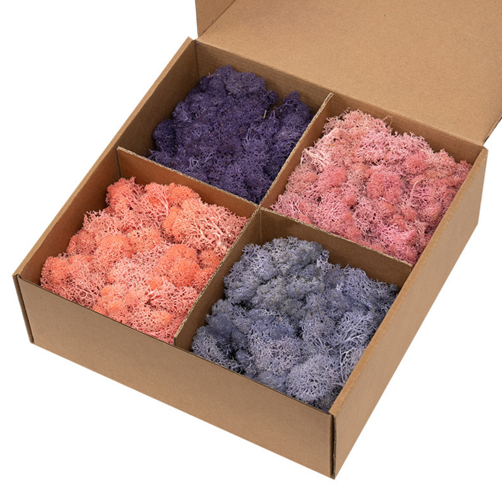 Pastel pink purple and grey preserved reindeer moss mix box