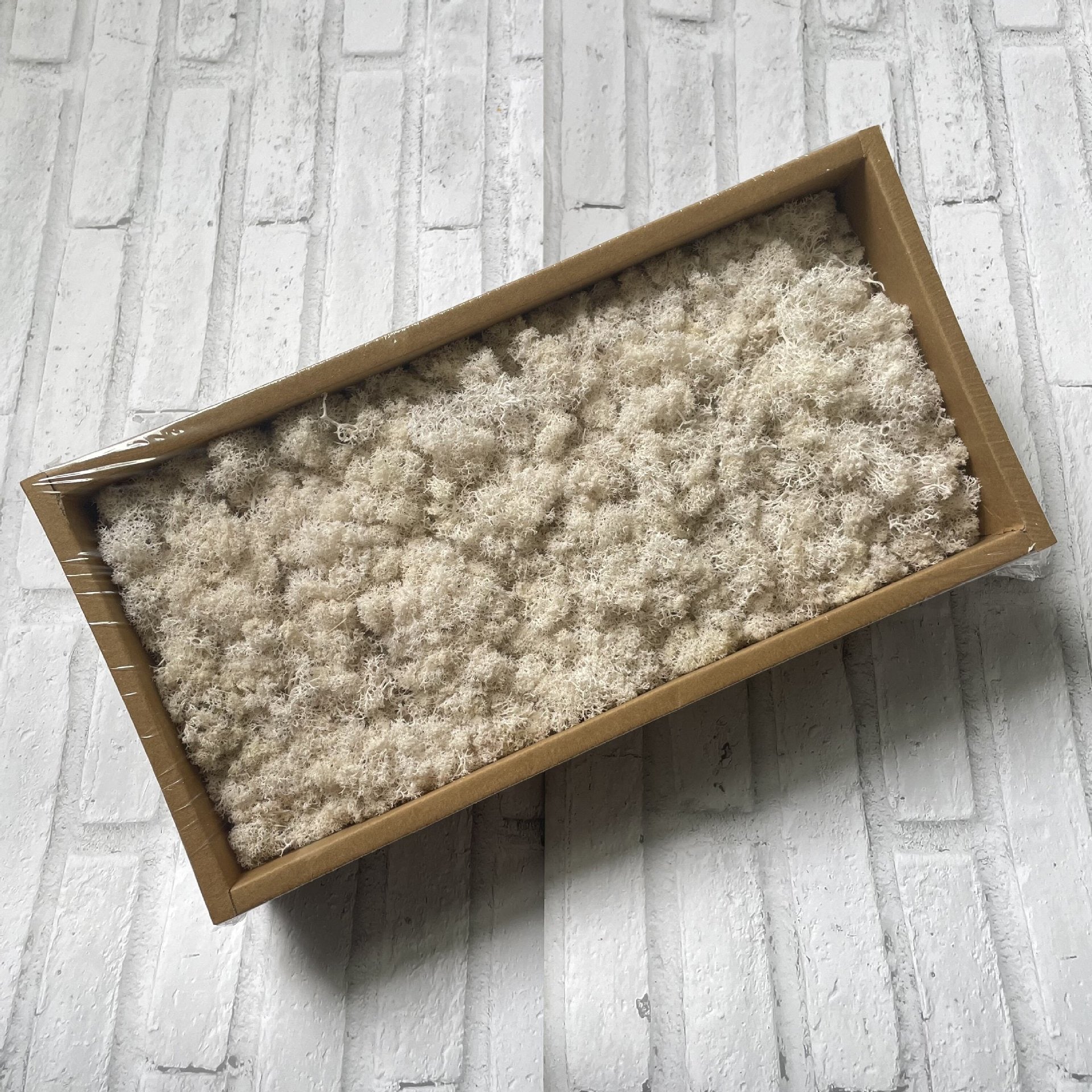 Preserved Reindeer Moss Bulk Box – White